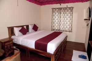 萨瓦伊马多普尔Ranthambhore Tiger Niwas的一间卧室设有一张床和一个窗口