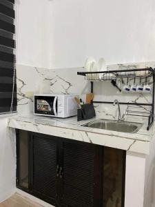 NaicCabuhat-Duco Lodge 3的厨房柜台配有微波炉和水槽