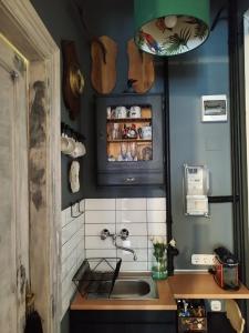布达佩斯布鲁门公寓的一个带水槽和柜台的小厨房