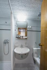 阿拉霍瓦Arahova Inn Hotel的一间带水槽、镜子和卫生间的浴室