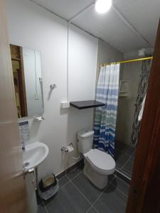 锡卡西亚CASA SANTA CIRCASIA的一间带卫生间和水槽的浴室