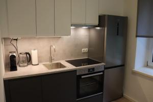 格拉茨City Apartment Rudolf 26m2的厨房配有水槽和冰箱