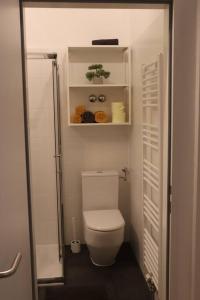 格拉茨City Apartment Rudolf 26m2的一间带卫生间和淋浴的小浴室