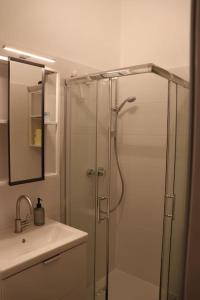 格拉茨City Apartment Rudolf 26m2的一间带玻璃淋浴和水槽的浴室