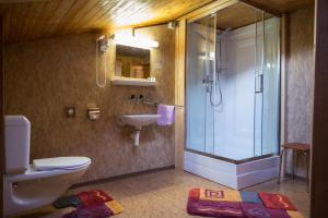 芙露姆赛山贝格海姆餐厅酒店的带淋浴、卫生间和盥洗盆的浴室