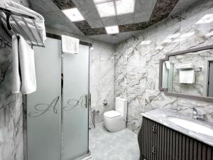 巴库Alison Hotel的一间带卫生间和水槽的浴室