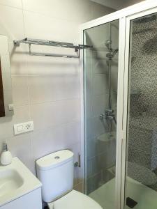 拉奥罗塔瓦Estancia Julia的一间带卫生间和玻璃淋浴间的浴室