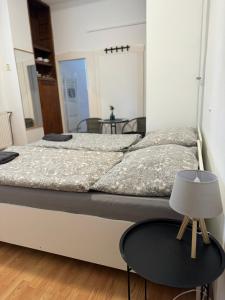 奥洛穆茨Pension Moravia的一间卧室配有一张大床和一张桌子