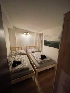 维也纳Gesamtes Haus mit Garten - 100% Privatsphäre的两张床位于带两只猫的房间