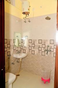 萨瓦伊马多普尔Ranthambhore Tiger Niwas的一间带水槽、卫生间和镜子的浴室