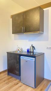 塔尔图Filosoofi 1 Studio Apartments的一个带水槽和洗碗机的厨房