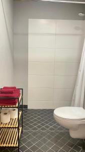 塔尔图Filosoofi 1 Studio Apartments的一间带卫生间的浴室和一个带毛巾的架子