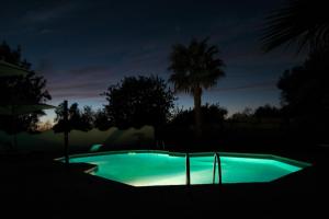 奥良Quinta dos Cochichos - Country Houses的夜晚在黑暗中游泳