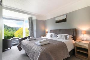 贝图瑟科伊德艾伯康威别墅酒店的一间卧室设有一张床和一个大窗户