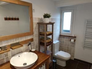 翁弗勒尔Lovely cottage in Honfleur center的一间带水槽、卫生间和镜子的浴室