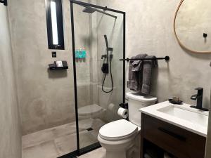 圣胡安The Looking Glass Hotel的带淋浴、卫生间和盥洗盆的浴室