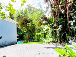 约翰内斯堡Corgi Guest House的种有棕榈树的花园,车道