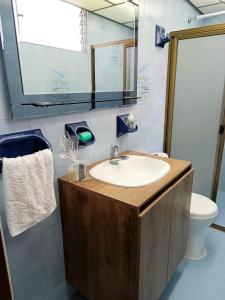 麦德林Espacio seguro, amplio y acogedor的一间带水槽和卫生间的浴室