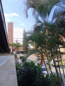 麦德林Espacio seguro, amplio y acogedor的一座建筑物的一侧的棕榈树