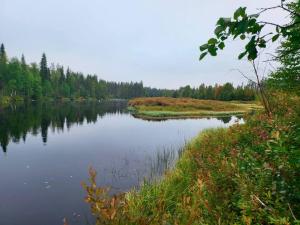 ÄkäsjoensuuLapland Riverside Cabin, Äkäsjoen Piilo - Jokiranta, Traditional Sauna, Avanto, WiFi, Ski, Ylläs, Erä, Kala的享有背景树木的湖泊美景