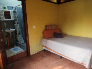 圣地亚哥阿蒂特兰Hosteria del Centro的一间带一张床和淋浴的小卧室