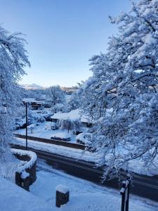 奥古斯都堡The Old Convent Holiday Apartments的一座有树木和道路的雪地覆盖的院子