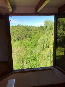 蒂格雷La Tiny的享有森林景致的窗户
