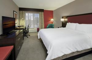 圣罗莎索诺玛郡机场希尔顿花园酒店的配有一张床和一台平面电视的酒店客房