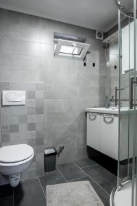 EminovciCherry Berry Apartmani的浴室配有卫生间、盥洗盆和淋浴。