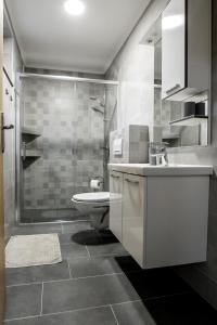 EminovciCherry Berry Apartmani的一间带水槽、卫生间和淋浴的浴室