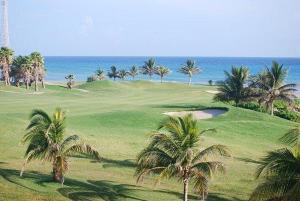 莱特鲁瓦西莱Orchidée, Spacieux & Vue mer的享有棕榈树高尔夫球场和大海的景色