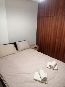 科扎尼ANIA'S APARTMENT ( ΣΤΟ ΚΕΝΤΡΟ ΤΗΣ ΚΟΖΑΝΗΣ )的一间卧室配有一张床,上面有两条毛巾