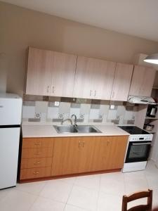 科扎尼ANIA'S APARTMENT ( ΣΤΟ ΚΕΝΤΡΟ ΤΗΣ ΚΟΖΑΝΗΣ )的厨房配有木制橱柜、水槽和冰箱。