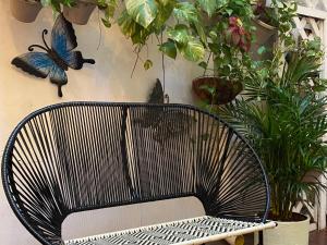 卡塔赫纳Casa Zaguan的一张黑椅子,坐在植物间