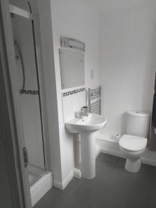 巴克斯顿Otterhole Barn Holiday Apartment的浴室配有卫生间、盥洗盆和淋浴。
