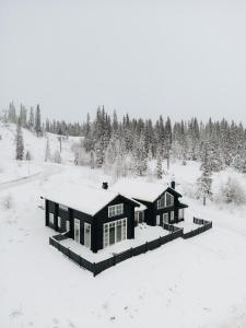 奥勒Åre Valley Lodges - Grand Ski Lodge的雪中的房子