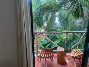 坎昆Casa CARIBE Cancun的阳台配有两把椅子和棕榈树