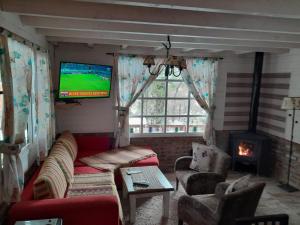 圣卡洛斯-德巴里洛切Paraiso Bariloche的带沙发、电视和壁炉的客厅
