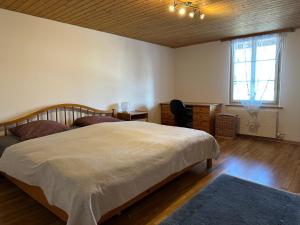 Volketswilcharmante 3,5 Zimmer Wohnung in Bauernhaus的一间卧室配有一张床、一张书桌和一个窗户。