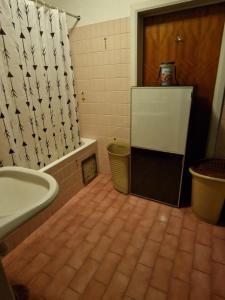 布鲁塞尔Central home的带浴缸和淋浴帘的浴室