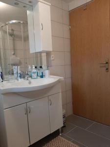利夫诺Ivković Residence的浴室设有白色水槽和镜子