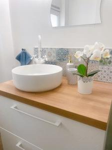 巴黎Duplex Atypique Paris 13 Station F Bercy的浴室柜台配有白色水槽和鲜花