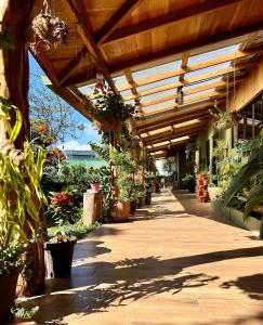 蒙泰韦尔德哥斯达黎加海迪蒙特菲德住宿加早餐旅馆的一条有盖的走道,上面有盆栽植物