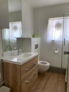 奥克兰City Towers Apartments的一间带水槽、卫生间和镜子的浴室