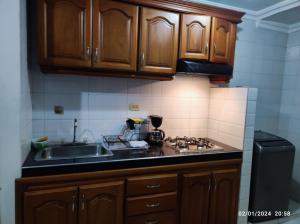 卡塔赫纳Bonito apartamento en Cartagena con garaje gratuito的一个带木制橱柜和水槽的厨房