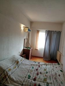 塔什干Apartment Tsentr 5的一间卧室设有一张床和一个窗口