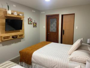 蓬塔阿雷纳斯Cabañas Bosque Austral的一间卧室配有一张床和一台平面电视