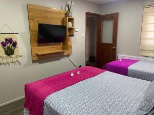 蓬塔阿雷纳斯Cabañas Bosque Austral的一间卧室设有两张床,墙上配有电视。
