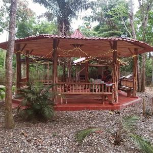 Las TunasNueva Tierra, Ayampe的森林中间的木制凉亭