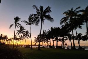 麦凯Dolphin Heads - Resort Unit - Absolute Beachfront! - Whitsunday Getaway!的日落时分在海滩上种植的棕榈树